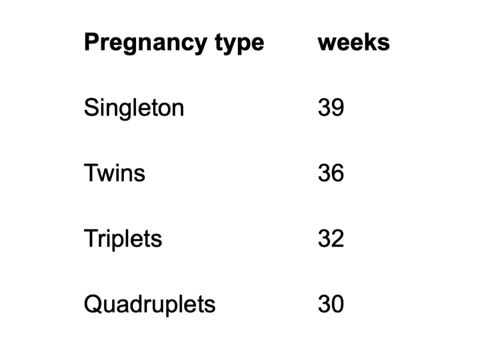 Powering the Twins-Edition of the Most Realistic Metaverse Pregnancy Simulation